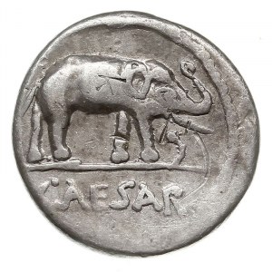 Gajusz Juliusz Cezar, denar 49-48 pne, Rzym, Aw: Słoń k...