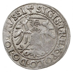 grosz 1540, Elbląg, ładnie zachowany