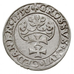 grosz 1556, Gdańsk, odmiana z końcówką napisu PRVSSI, T...
