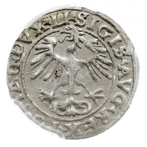 półgrosz 1554, Wilno, Ivanauskas 4SA51-16, T. 12, monet...