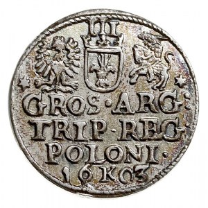trojak 1603, Kraków, Iger K.03.1.a (R1)