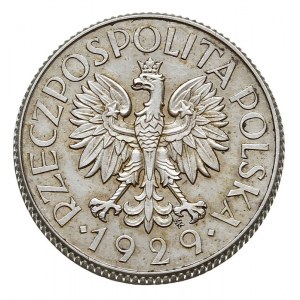 1 złoty 1929, Warszawa, na rewersie z lewej strony wklę...