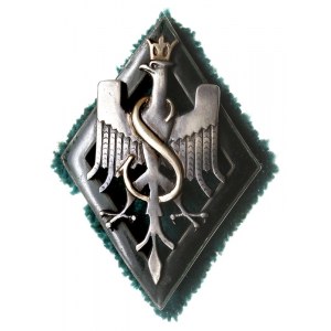 odznaka pamiątkowa 5 Dywizji Strzelców Syberyjskich, Or...