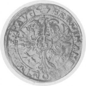 (28 Stüberow) b.d, Aw. Tarcza miejska, Rw. Orzeł dwugłowy i tytulatura Ferdynanda II, Dav. 507.