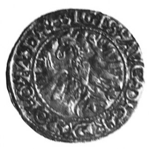 Półgrosz 1566, Aw. Orzeł, Rw. Herb Jastrzębiec, m. Tykocin, Kop. 54.lla, rr, Tyszk. 12, Biał. 396.R3