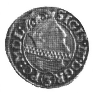 Trzykrucierzówka 1616, j.w. Kop.205 2r, Czap.1343 R,