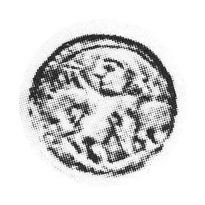 Denar b.r. Aw.Król na koniu Rw. Głowa napis BOLEZLAVS Kop.20,l,a rr; H.CZ.6805 R1; Gum.69