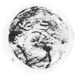 Denar b.r. Aw.Głowa i napis BOLEZLA,Rw.Gryf Kop.33,VII,rrr;H.CZ.59 R-2;Gum.97 RR