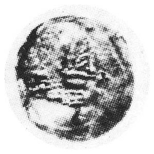 Denar b.r. Aw.Głowa i napis BOLEZLA,Rw.Gryf Kop.33,VII,rrr;H.CZ.59 R-2;Gum.97 RR