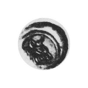 Hemidrachma, Aw.Głowa kobiety, Rw.Głowa byka, BMC 4