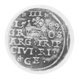 Trojak 1589, Kop.242.2r,T3