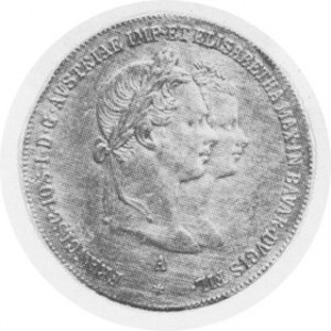 Gulden 1854, Sch.895/114