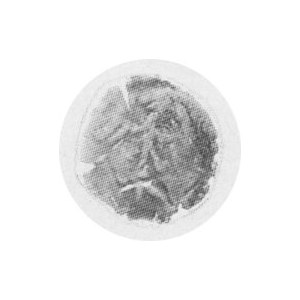 DENAR b.r.Kop.274.2a r