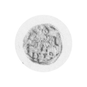 Denar 1559, Kop.40.15a r T.8