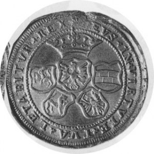 ZYGMUNT AUGUST Talar 1547, Kur. 892 fałsz. Majnerta