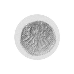 Denar 1554, Kop.7350 R4, T.8