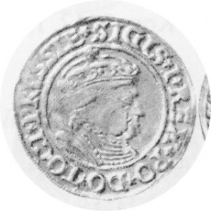 Grosz ziem pruskich 1535, Kop. 3091, Kurp. 342 R
