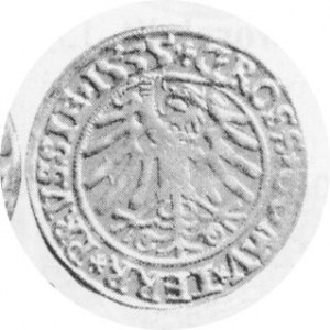 Grosz ziem pruskich 1535, Kop. 3091, Kurp. 342 R