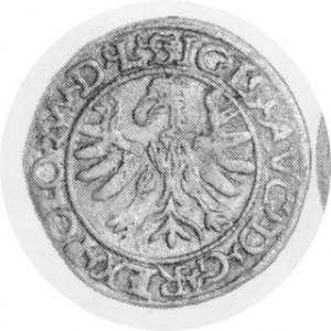 Połgrosz litewski 1566 duży herb Jastrzębiec, mennica Tykocin, Tyszkiewicz 12, Kop. 374 R5, Kurp. 753