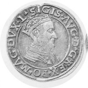 Czworak litewski 1567, Sajauskas 911, Kop.3312 Rl, Kurp.858 R, starannie wybity egzemplarz, częściowo połysk w tle,...