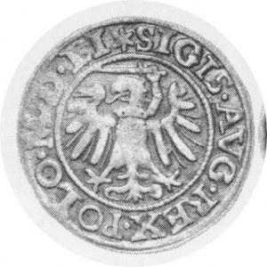 Szeląg gdański 1549, Kop.7356 R4, Tyszkiewicz 15, Kurp. -, CNG - ( nie notują z końcówką LI)