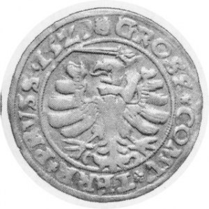Grosz ziem pruskich 1529, Kop.3083 R