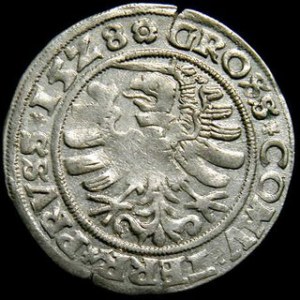 Grosz ziem pruskich 1528, Kop.3081 R1, T.2, ładny egzemplarz rzadki f
