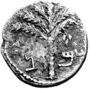 AE-23 mm, Aw. Liść winny, wkoło nieczytelna legenda hebrajska „Wolność dla Jerozolimy”, Rw. drzewo palmowe, na dole...