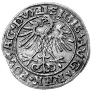 Półgrosz 1552, m. Wilno, Kop. 3244 R1