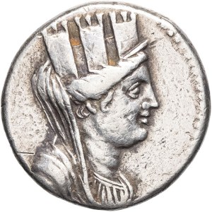 Phénicie, Arados. Tétradrachme An 195 (65-64 av. J.-C.), Arados.
