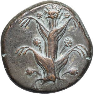 Cyrenaica, Cyrene. Medal, enlargement of a 1970 tetradrachm [after an original from the 4th c. BC], Paris.