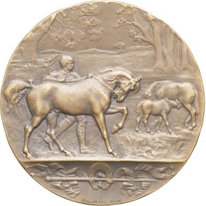 IIIe République (1870-1940). Médaille, société protectrice des animaux d’Alger, par Degeorge et Lagrange ND, Paris.