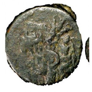 Brąz, menn. Salamis (Cypr), Ae 21, Głowa Zeusa Amona / orzeł stojący w lewo