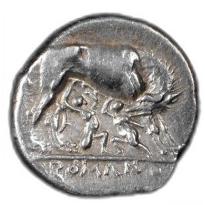 Didrachma, 269 - 266 p.n.e, Syd.6, Sear RC 24 w.6,96 g, Ø 20 mm, duża rzadkość