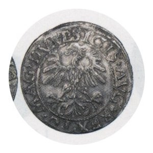 Półgrosz 1560, waga 1,16 g, Kop. 3259