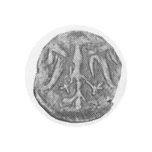 Pair of Denars. ND (1370-82). AR Denar. Cracow Mint. Eagle / Shield with 0 above. Gum. 372; Kop. 347 (R4); HCz....
