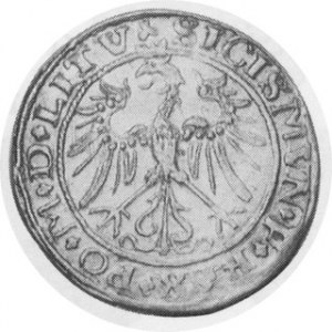 Pair of Lithuanian 1 Grosz Coins. 1535. AR 1 Grosz. Vilna Mint. Rider left, columns in shield / Eagle. Gum. 514;...