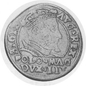 Pair of Lithuanian Grosz coins struck to Polish standards. 1546. AR Grosz. Vilna Mint....