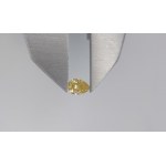 Natürlicher Diamant 0,25 ct P1 Bruttowert : 2312 $USD