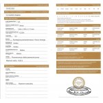 Natural diamond 0.22 CT Si1 gross valuation: $1747USD
