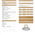 Natural diamond 0.20 ct Si2 gross valuation: 1402 $USD