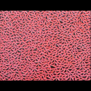 Mirosław Kociński - Mozaika 60x60cm
