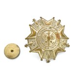 PSZnZ, Badge of the 10th Mounted Rifle Regiment – 1st Armored Division
