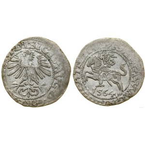 Poľsko, polgroš, 1564, Vilnius