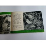 RYSZARD BOROWY, STANISŁAW KASPRZYK, PIENINEN, PIENINEN-NATIONALPARK, BROSCHÜRE, INFORMATIONSBROCHÜRE