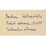 Bartosz Kokosiński (nar. 1984, Siewierz), Bez názvu, 2011
