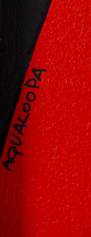Igor Chołda \ aqualoopa (ur. 1978), 