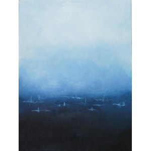 Anna Klim, We are the same soul, 2024