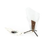 Italy, Lamp