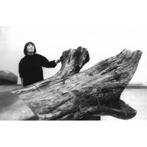 Grzegorz KOZAKIEWICZ, Magdalena Abakanowicz, UKON, 1995